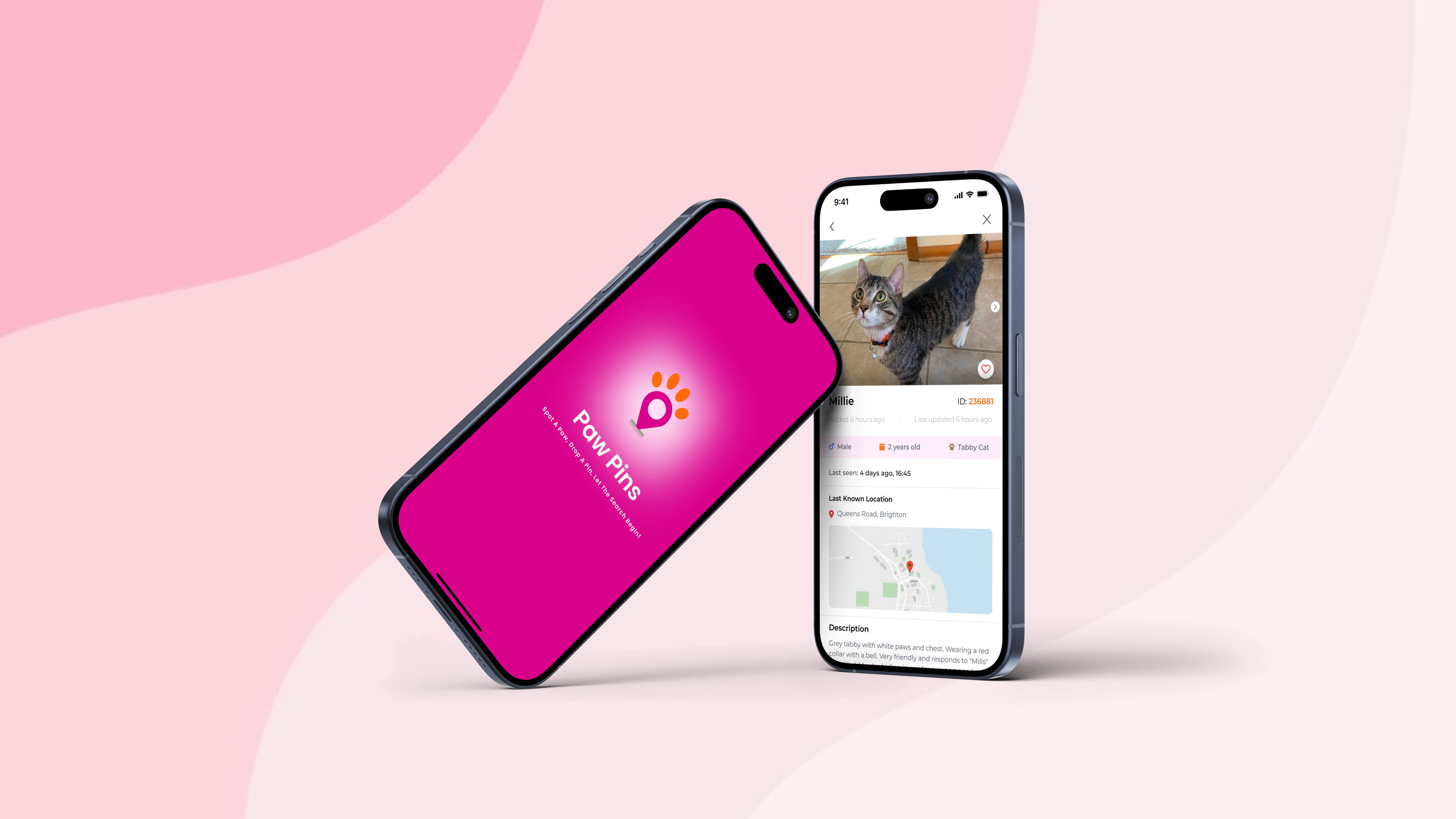 Two Paw Pins phones: the splash screen and the pet details screen for Millie, a missing tabby cat